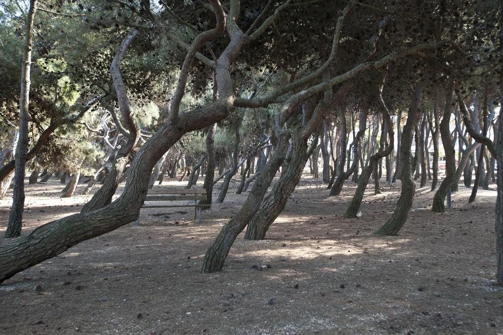 Lillananna Reload Daire Porto SantʼElpidio Dış mekan fotoğraf
